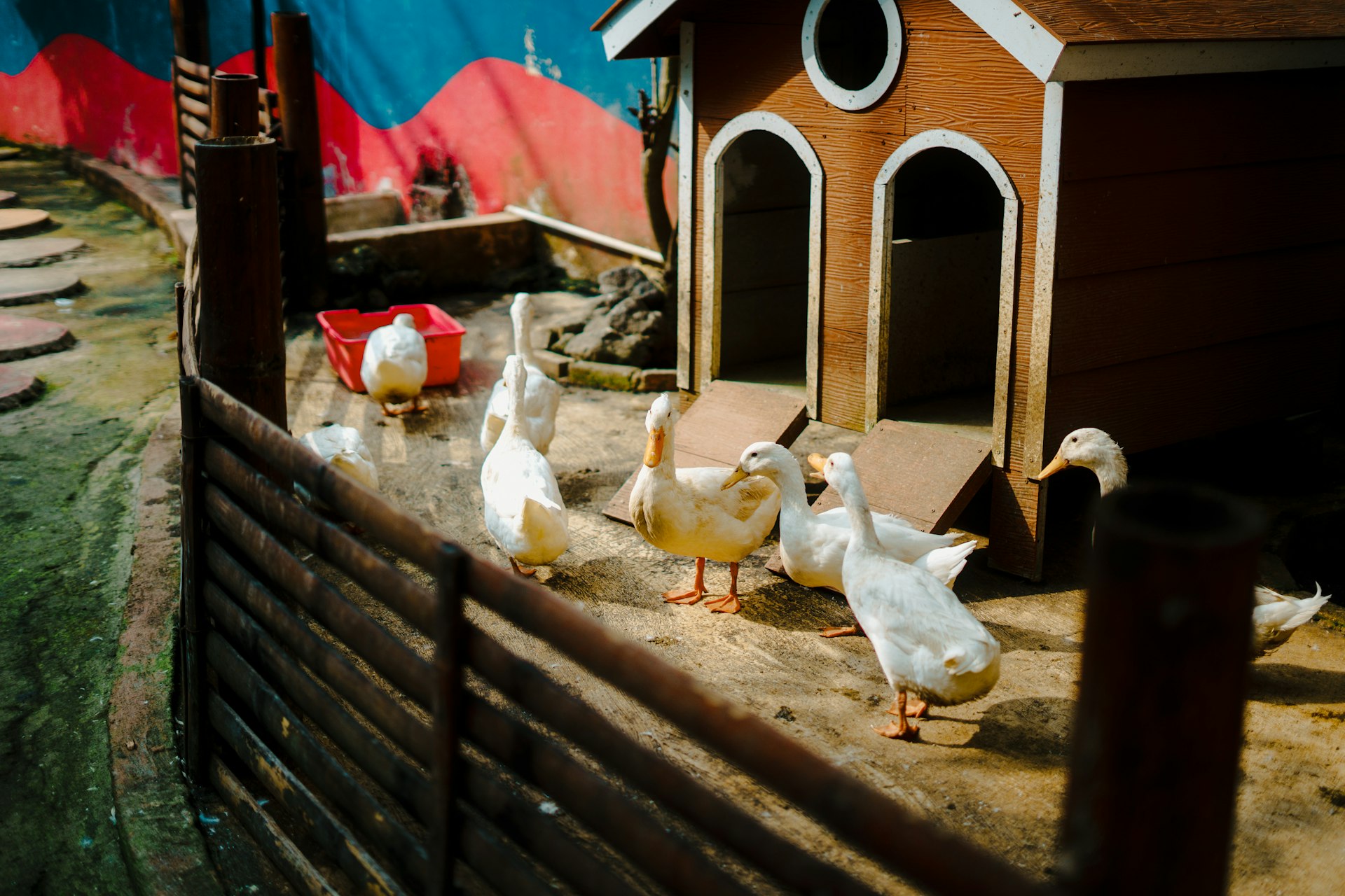 Farm Store by AndaBhurji Global Solutions